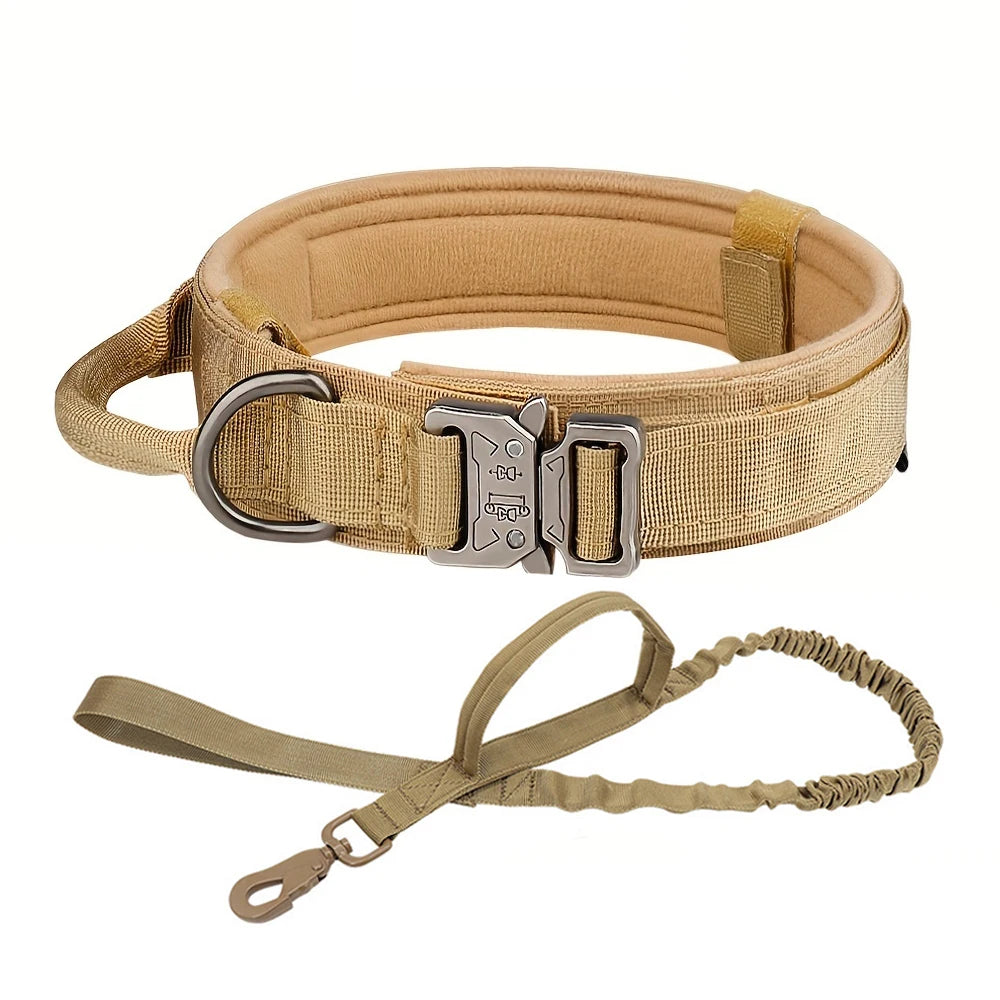 Dog Training Collar Tactical