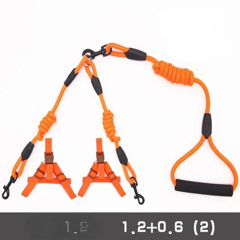 Leashes for 2 smaller Dogs
