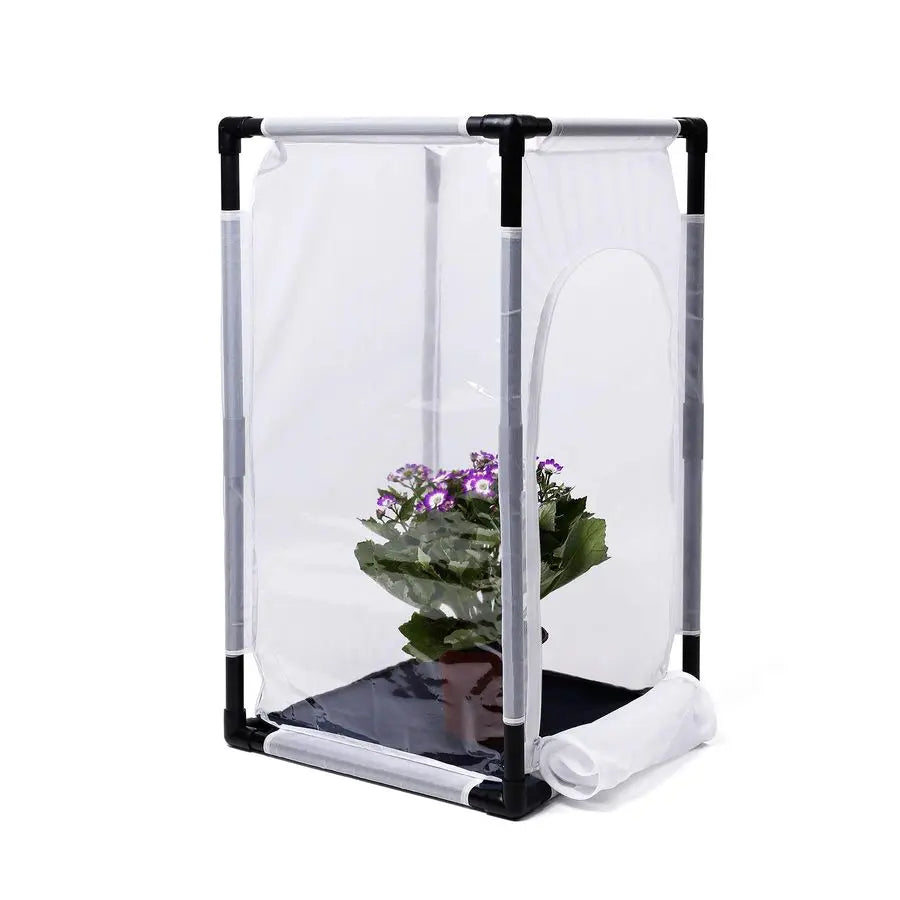 Monarch Butterfly Habitat Cage