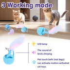 Bite Resist Motion Activate Chirping