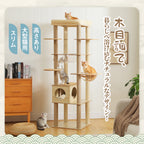Multi-Level Cat Tree
