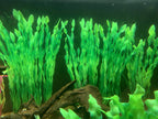 5/10pcs Plastic Aquarium Plants