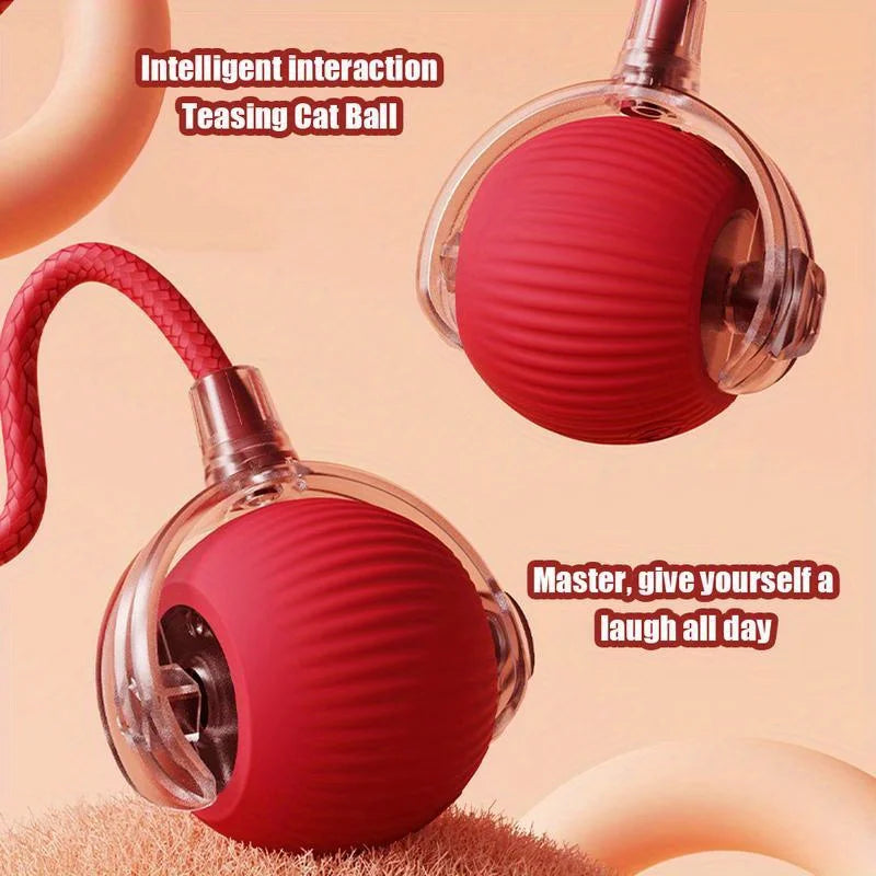 Automatic Interactive Cat Ball