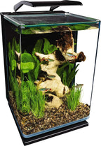 5-Gal Glass LED Aquarium Kit