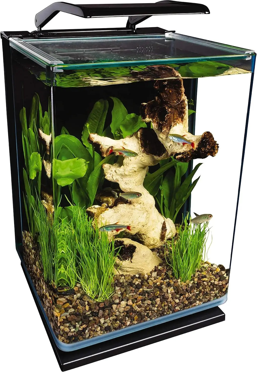 5-Gal Glass LED Aquarium Kit