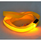 Flashing Leash Leash Rope