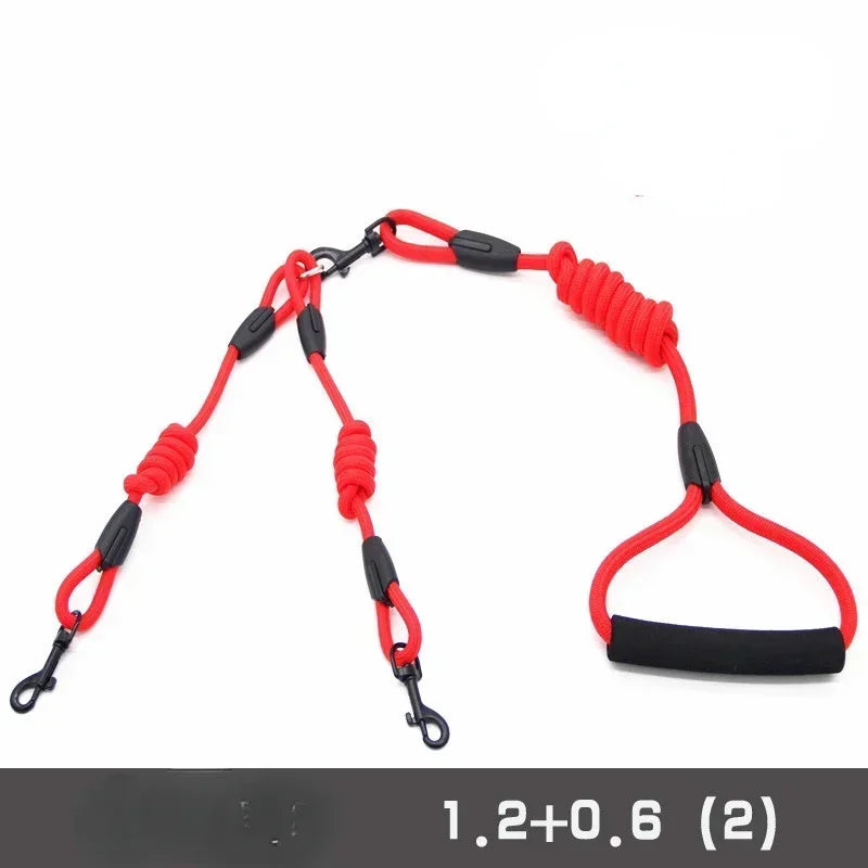 Leashes for 2 smaller Dogs