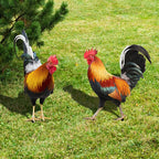 Garden Rooster Statue