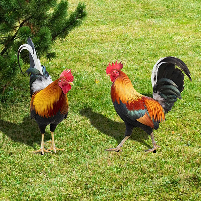 Garden Rooster Statue