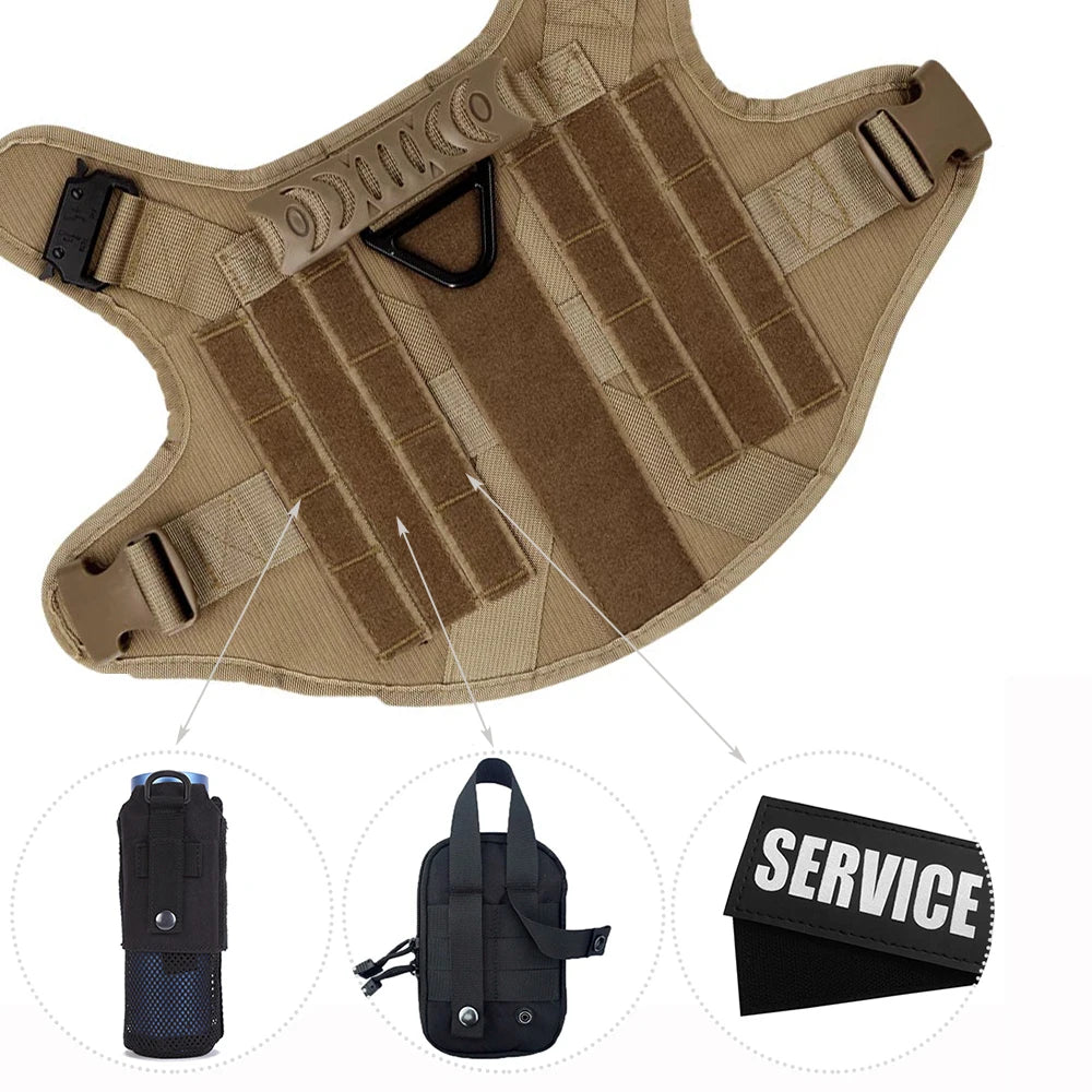 Large Dog Harness/Leash Set