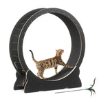 Cat Exercise Wheel, 46''