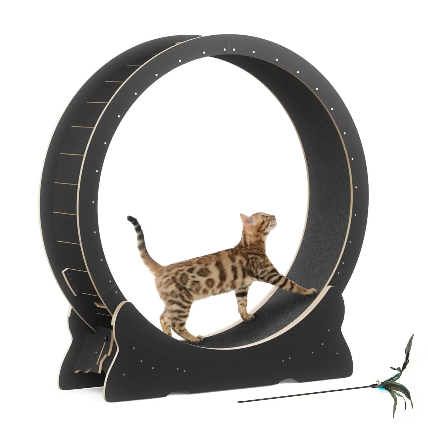 Cat Exercise Wheel, 46''