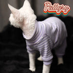 Hairless cat clothes