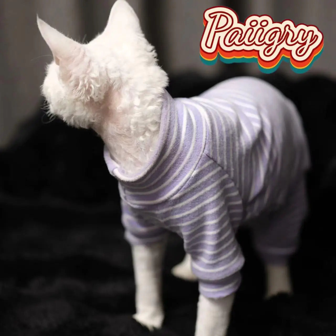 Hairless cat clothes
