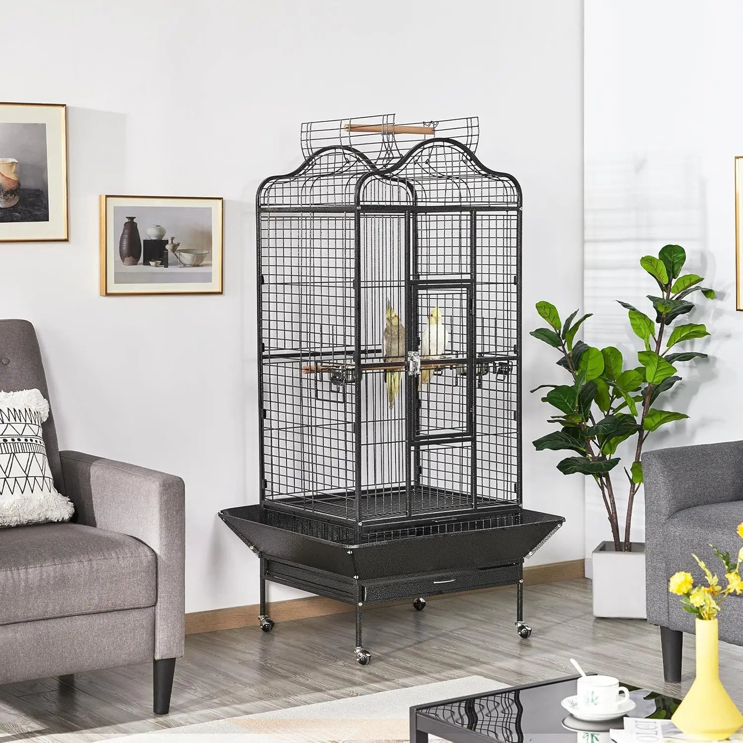 XL Bird Cage 63'' Open Play Top
