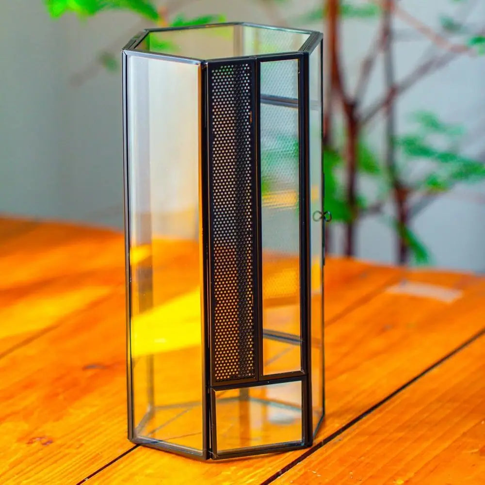 Small Glass Enclosure for Jumping Spiders