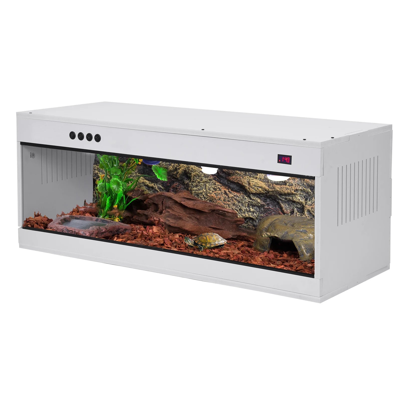 Reptile Enclosure