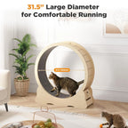 Cat Exercise Wheel Indoor