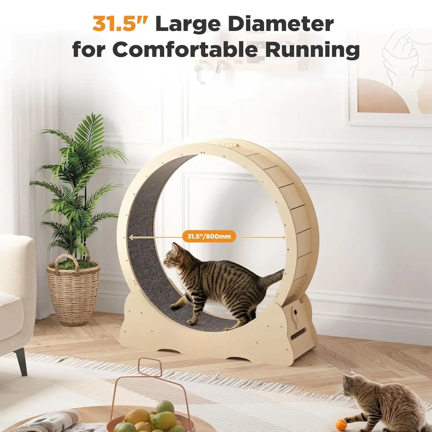 Cat Exercise Wheel Indoor