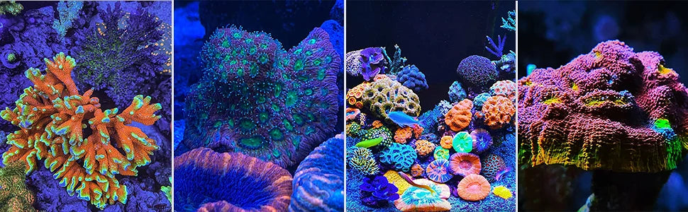 WiFi Led Aquarium Light