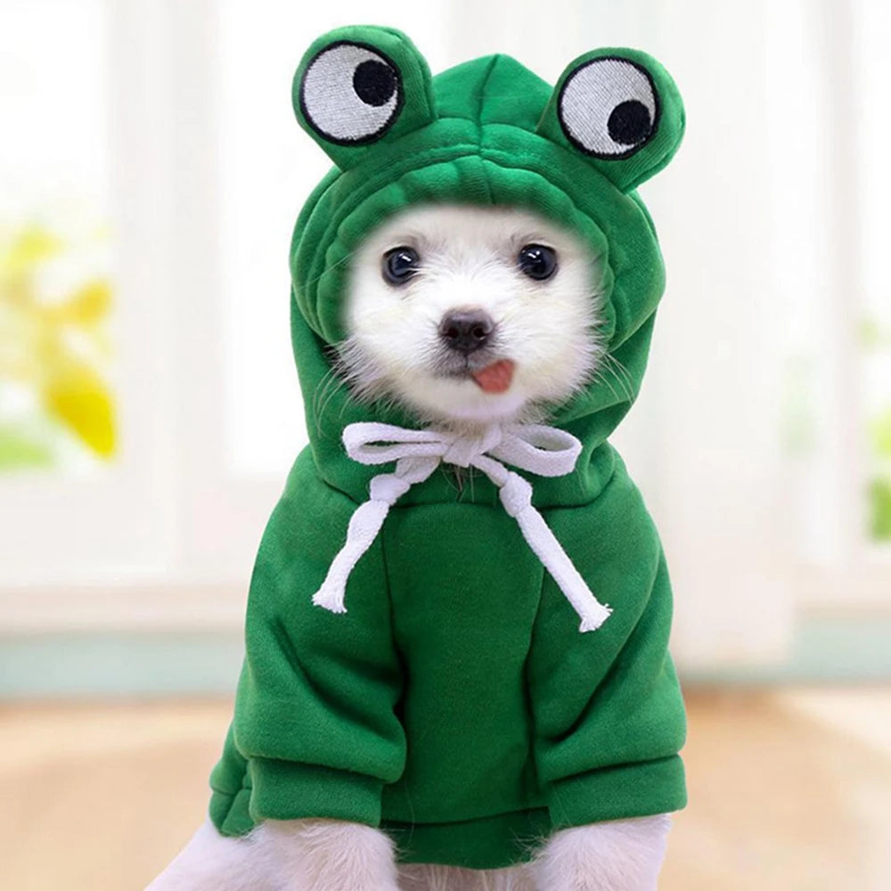 Cute Fruit Dog Clothes