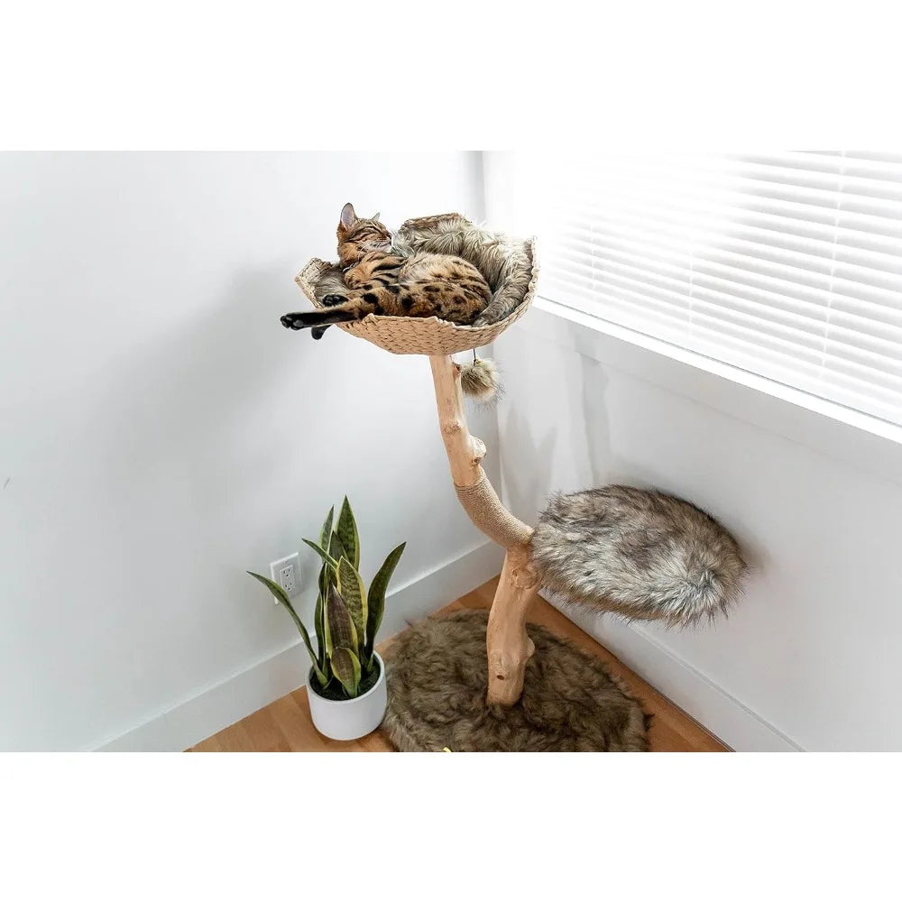 Wooden Cat Tree Tower