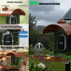 Bird Feeder with Camera