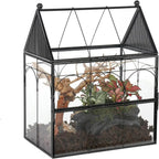 Glass Enclosure for Insect, Jumping Spiders