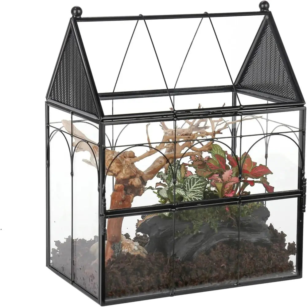 Glass Enclosure for Insect, Jumping Spiders