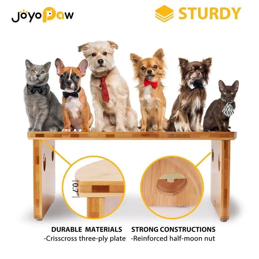 Bamboo Raised Dog Bowl