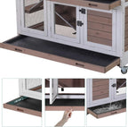 Rabbit Hutch, Guinea Pig/Cage