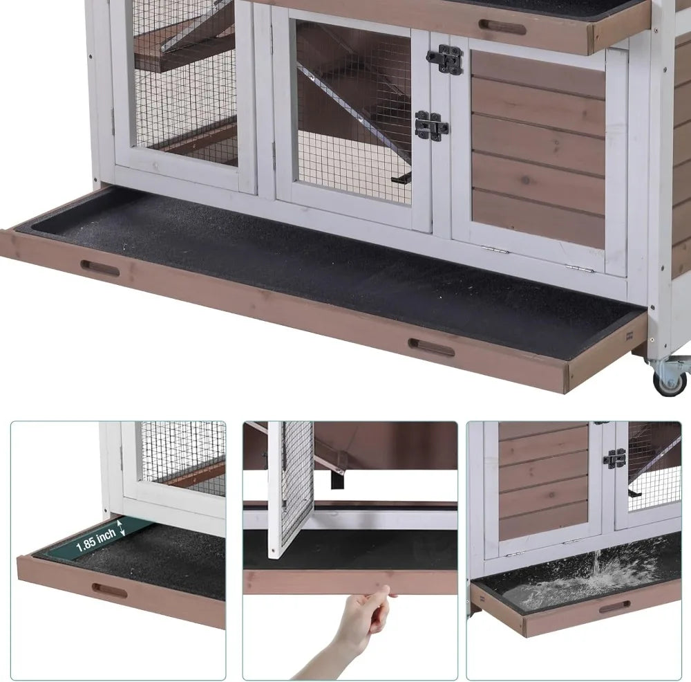 Rabbit Hutch, Guinea Pig/Cage