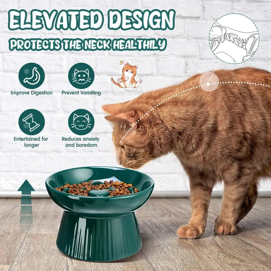 2 Pcs Raised Slow Feeder Bowl