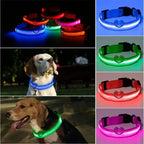 USB Charging LED Dog Collar