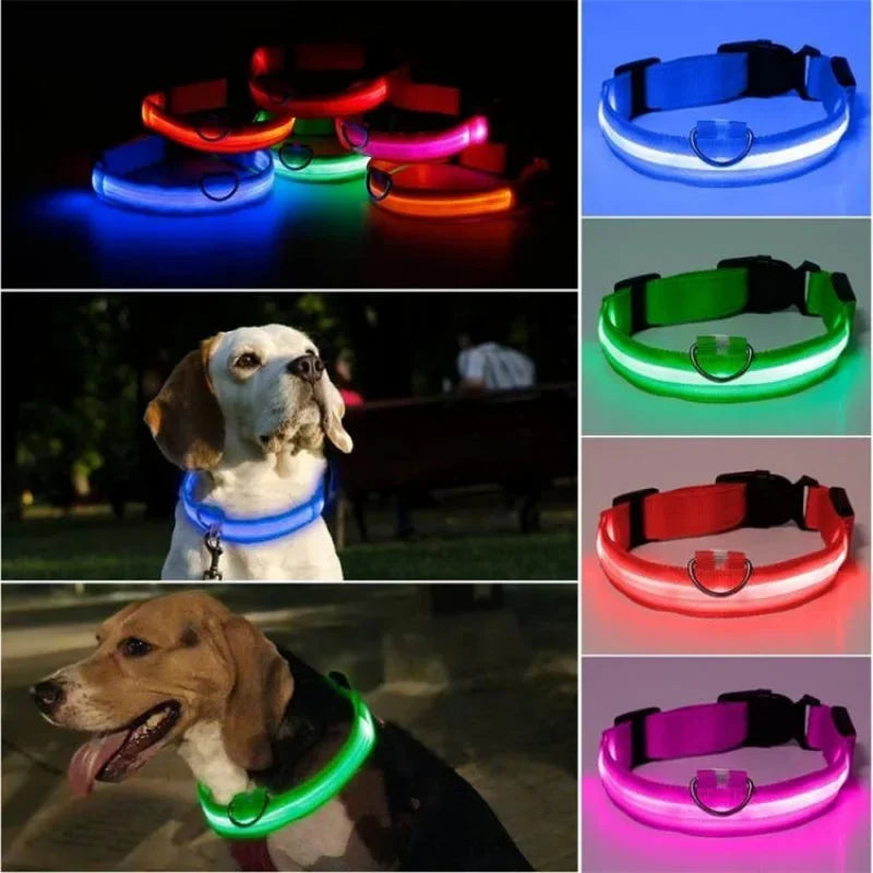 USB Charging LED Dog Collar