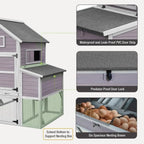 Chicken Coop with 6 Nesting Boxes