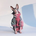 Sphynx Hairless Cat Clothes