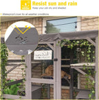 Cat House