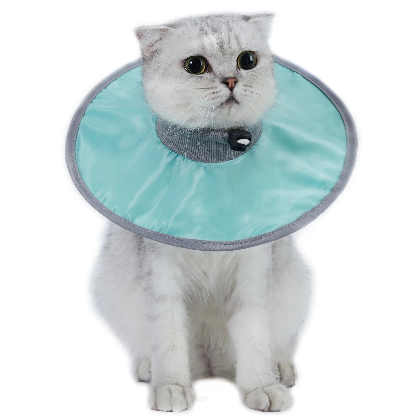 Pet Cat Protective Collar