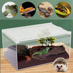 Clear Reptile Terrarium, Stackable