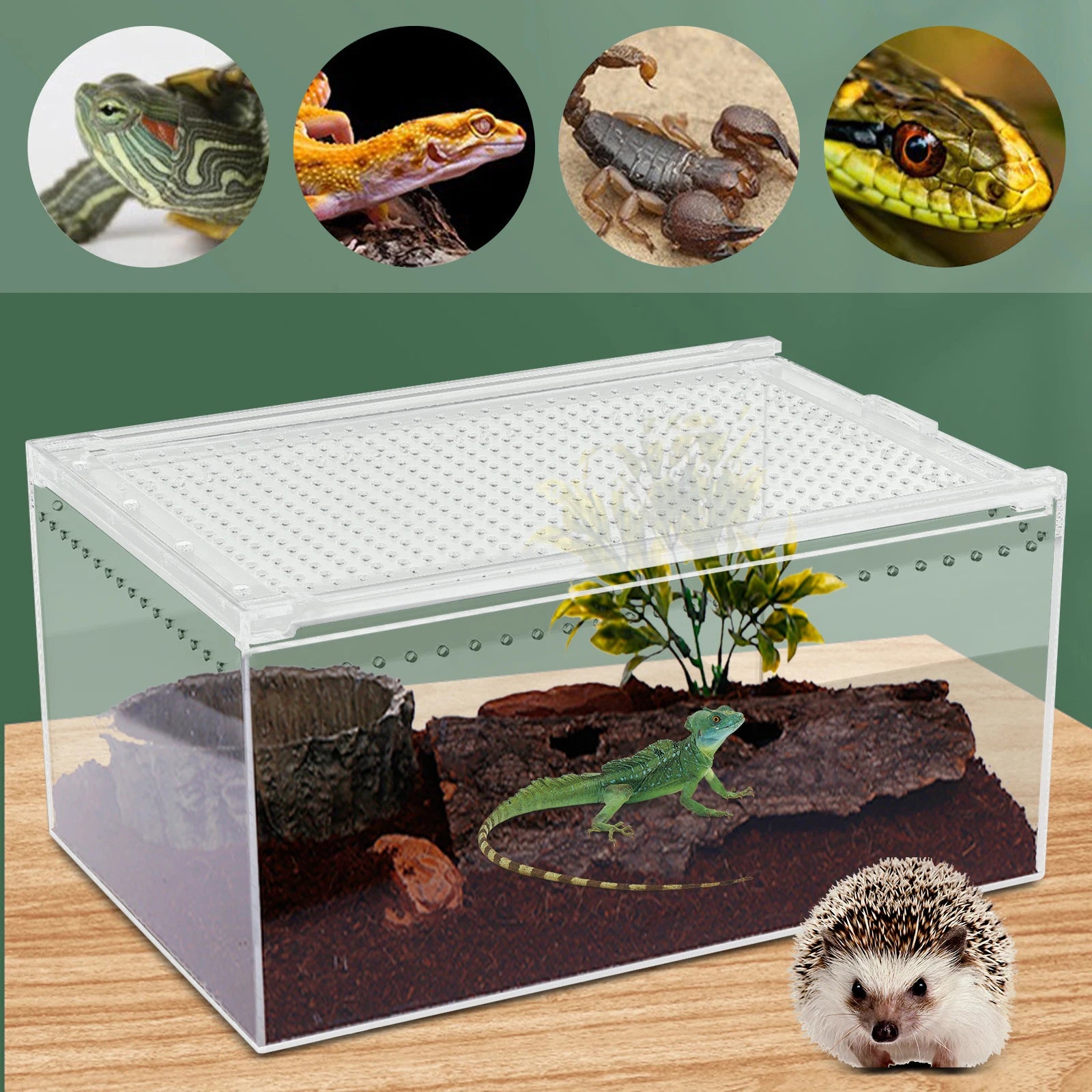 Clear Reptile Terrarium, Stackable