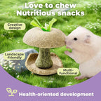 Apple Core Shaped Hamster Chew Toy
