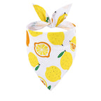 Dog Bandana Fruit Floral Spring