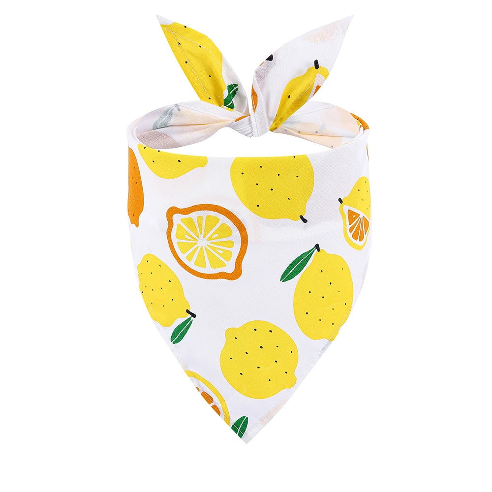 Dog Bandana Fruit Floral Spring