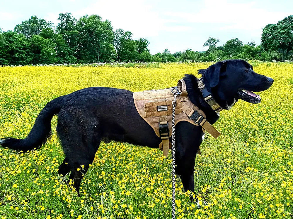 Military Dog Harnesses Tactical Vest