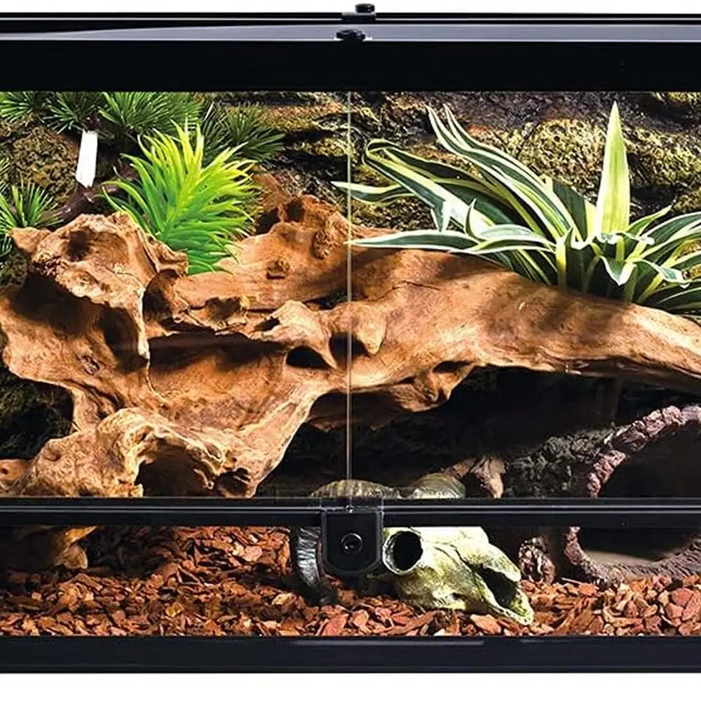 35 Gal Glass Terrarium