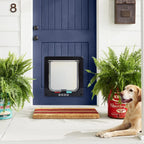 Cat Flap Door