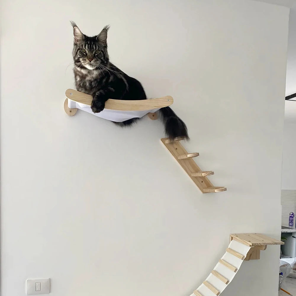 Cat Hammock and Stairway