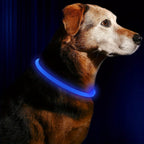 Dog LED Light Collar