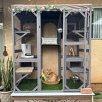 Cat House